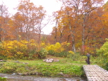 奥利根水源の森の紅葉　みなかみ町紅葉情報